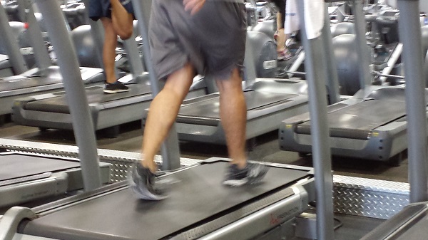 Random calves in action at the gym.